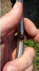 Hand Holding Broken Pipe
