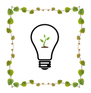 Green Energy Light Bulb