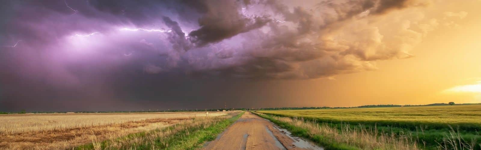 Read more about the article Summer Storms