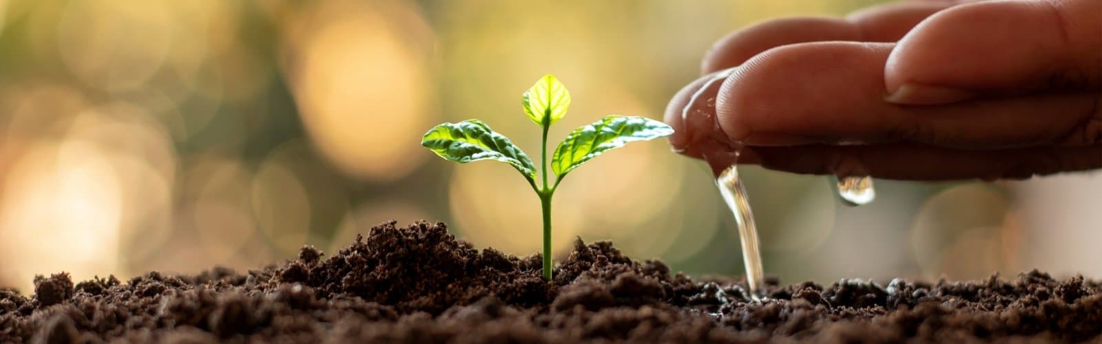 Read more about the article Save Water & Money