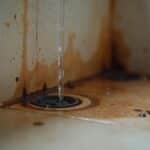 Why do my Drains Smell?