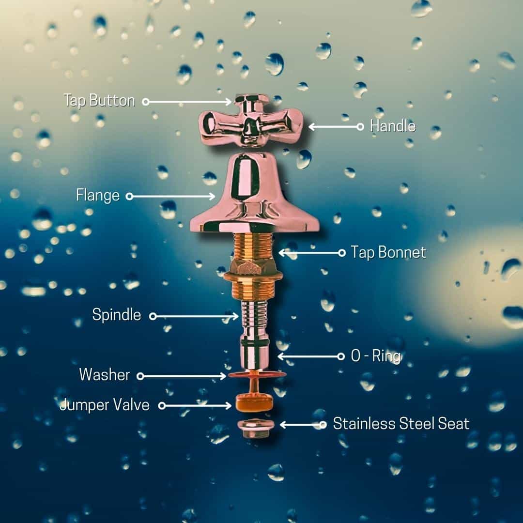 parts of the tap Parts of the Tap