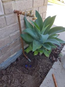 Tap and Plant | Plumbing and Electrical in Canberra
