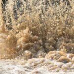 Where Does Our Wastewater Go?