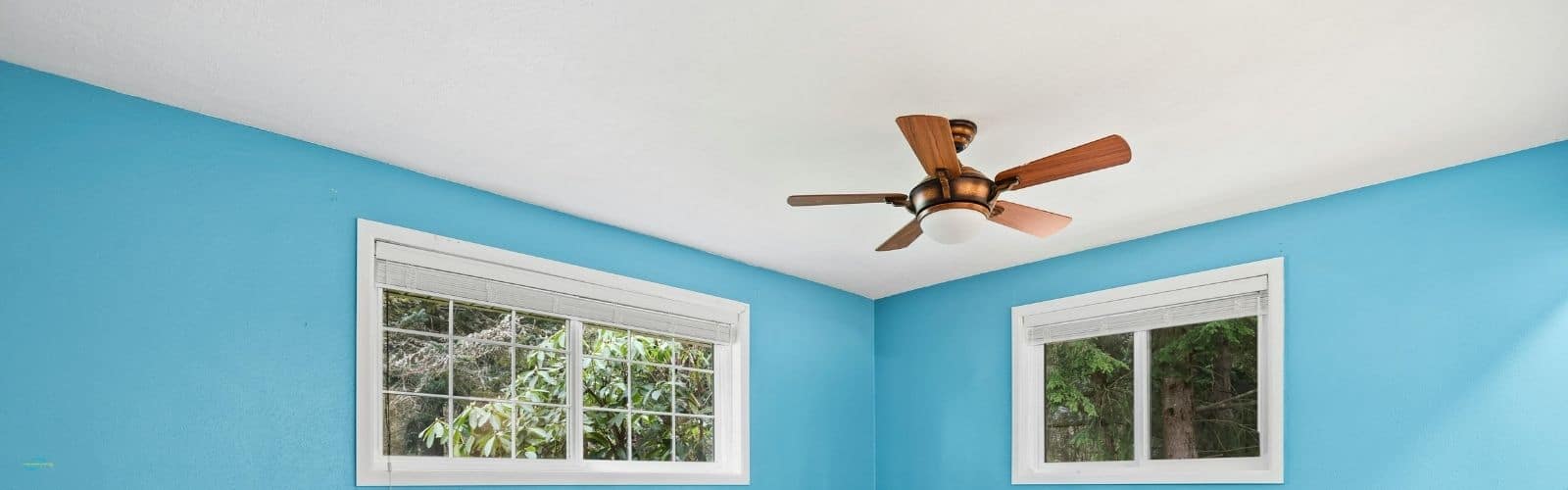 Ceiling Fan