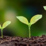 4 Green Plumbing Tips so you can Save Water