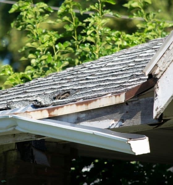 gutters are not properly maintained