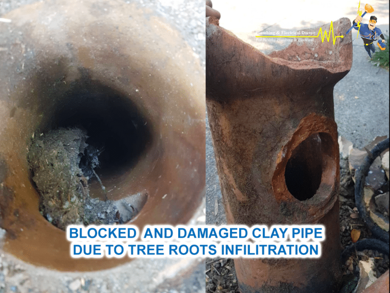 Before Photos Tree Roots Infiltration blocked clay pipe