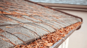 roof gutter