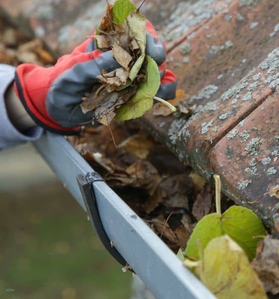 Cleaning Roof Gutters