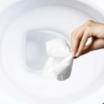 What Can You Flush If You Don’T Have Toilet Paper?