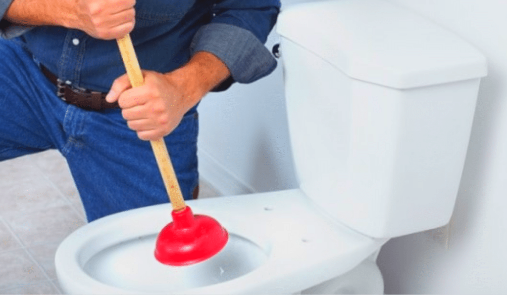 Blocked Drains Rise Due to Toilet Paper Shortage The Plumbing