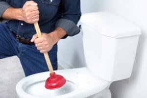 plunger