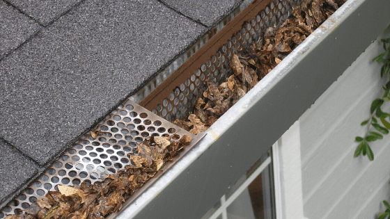 Gutter Drains