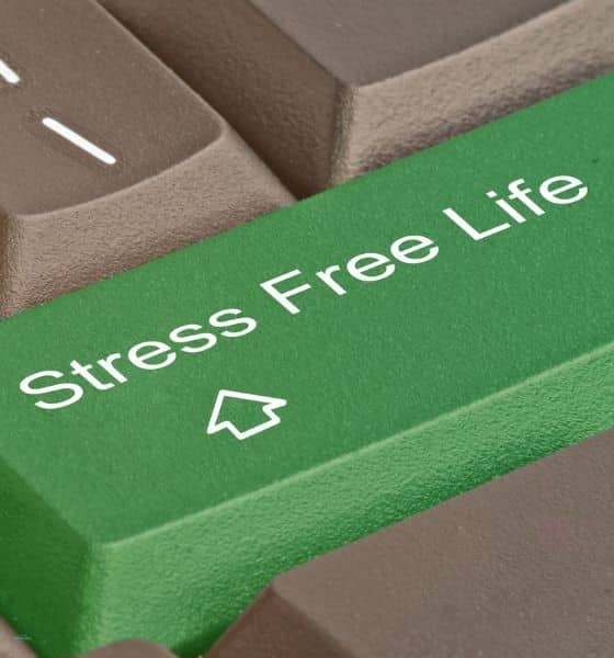 stress free life