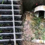 What are the Common Types of Blocked Drains?