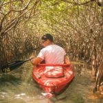 Plumber In Mangrove Creek