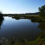 Plumber In Fyshwick