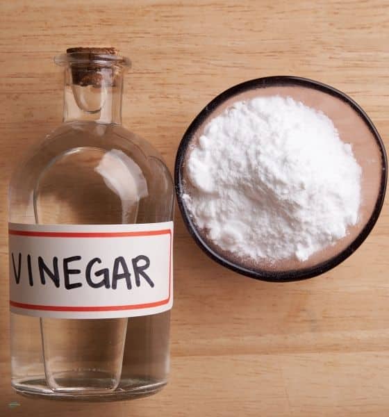 Vinegar & Baking Soda