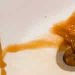 Should I or Shouldn’t I Pour Oil Down the Drain?