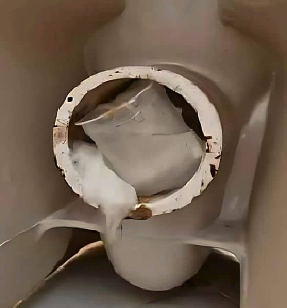 Plastic Cup Blocking A Toilet