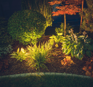 Garden Lighting