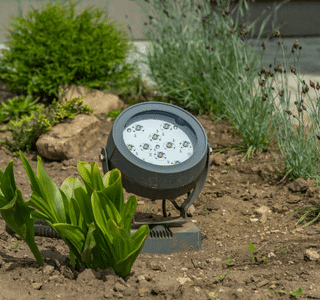 Garden Spotlights