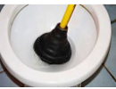 Plunger in Toilet Plunger in Toilet
