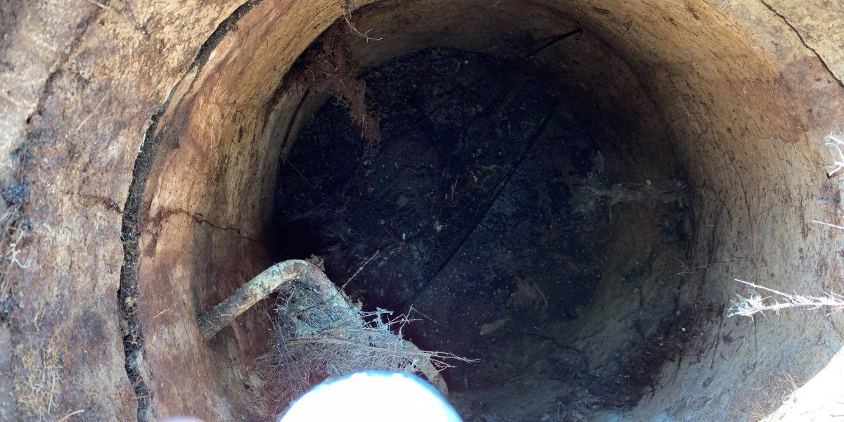 Blocked Drains