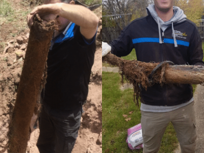 Blocked Pipe Tree Root Removal