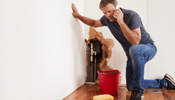Plumbing Burst Pipe