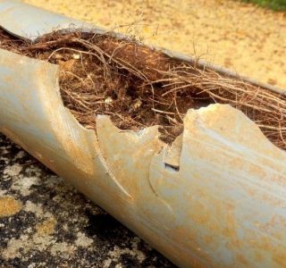 Cracked Sewer Repairs