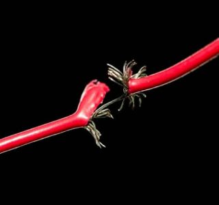 Damaged Wiring Damaged Wiring