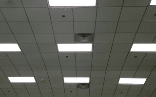 Fluorescent Lights