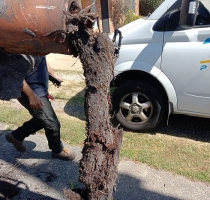 The Tree Roots are Blocking the Drain