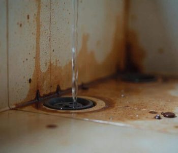 Why do my Drains Smell 1 Why do my Drains Smell