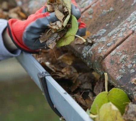Cleaning Roof Gutters Cleaning Roof Gutters