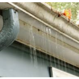 Leaking Roof Gutters Avoid Plumbing Disasters