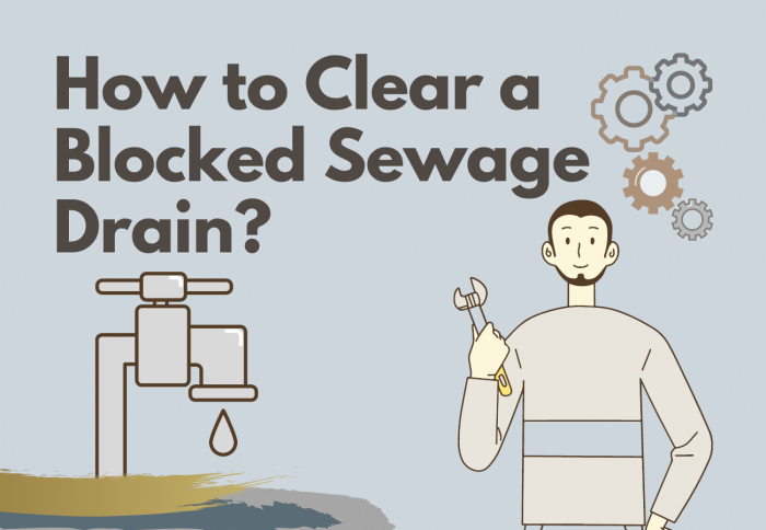 how to clear blocked sewage drain