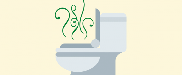 Stinky Toilet Is An Effect Of Blocked Sewage Drains